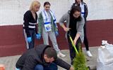 Экологическая акция «Вместе для зелёной Беларуси!»